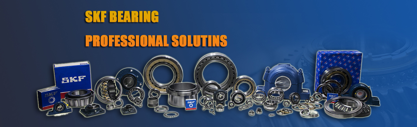 SKF BEARING PROFESSIONAL SOLUTINS